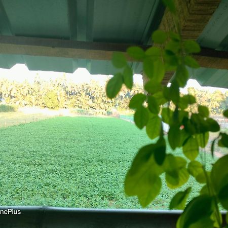 Ocean Sparrow Beach Stay Gokarna  Bilik gambar