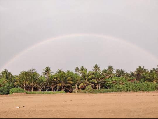 Ocean Sparrow Beach Stay Gokarna  Bilik gambar