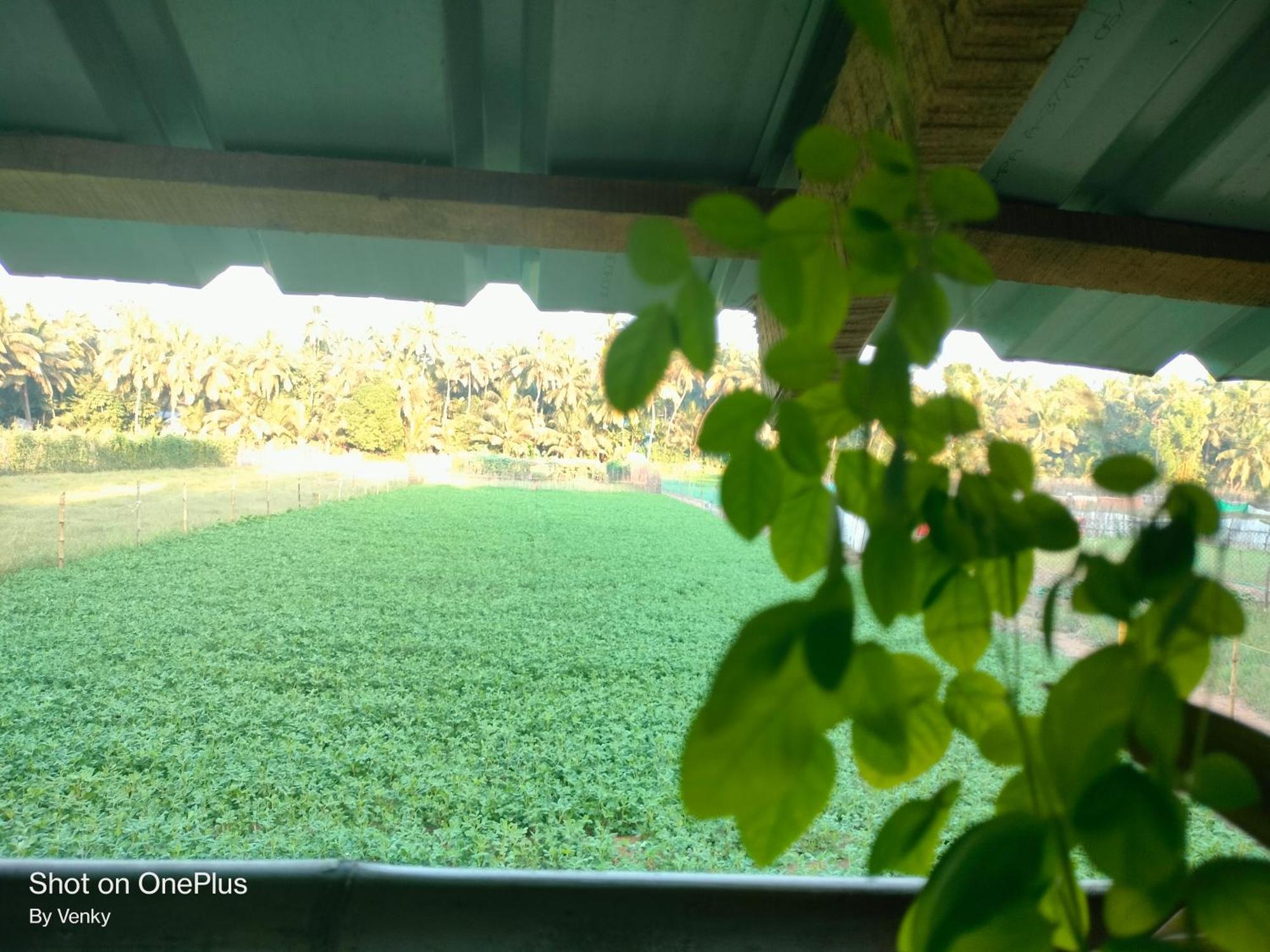 Ocean Sparrow Beach Stay Gokarna  Bilik gambar